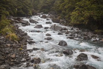 Flusslandschaft auf der Südinsel