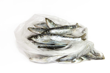 The fish is thawed in a transparent package