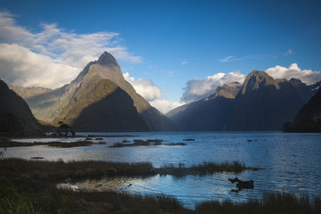 Mitre Peak im Milford Sound Neuseeland