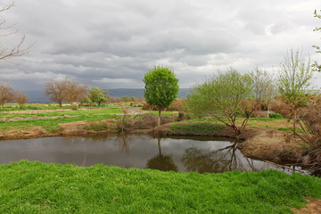 Fototapeta premium Early Spring in the Park.Clouds Before the Rain Began