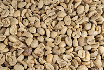 Coffee beans / Raw coffee beans texture backgeound.