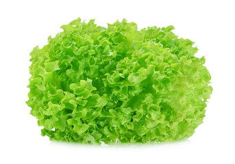 Green oak lettuce on white background.