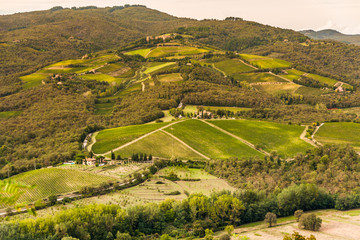 Obraz premium Shrubs grapes before harvest. Chianti, Tuscany, Italy 