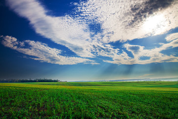 Green Field and Beautiful Sunset