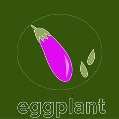 Outlined vegetable icon eggplant. Vector illustration