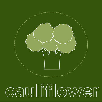 Outlined vegetable icon cauliflower. Vector illustration