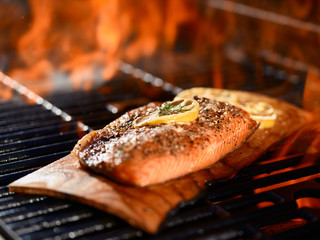 seasoned salmon fillet cooking on cedar plank over grill