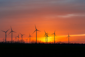 Windräder in der Natur mit Vogelschwarm im Sonnenuntergang