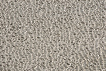 Closeup of Mont St Michel muddy field. Walking there is dangerous and requires a guide