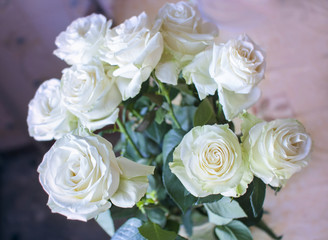 Fototapeta na wymiar White roses flowers
