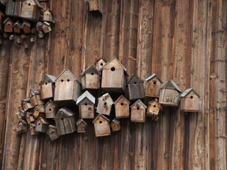 A collection of decorative bird houses on a wooden wall
