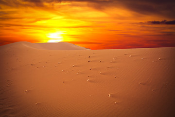 Sands dunes in the desert