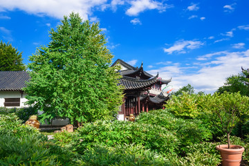 Tree and a pagoda in the park.