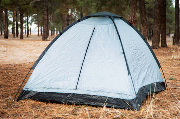 Grey tent in the pine wood.