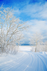 Obraz premium Baltic Sea in winter.