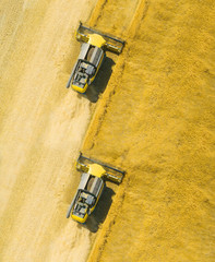 Aerial view of combine harvester on wheat field. Industrial background on agricultural theme. Use...