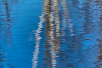 Reflections of birch tree trunks in choppy water.