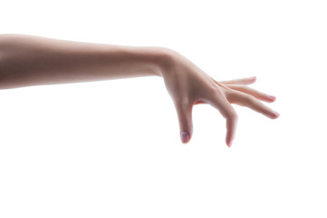 Pretty female hand with perfect skin