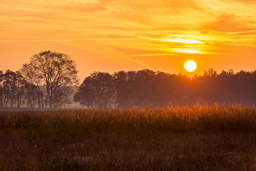Fototapeta na wymiar Sonnenaufgang im Naturschutzgebiet 