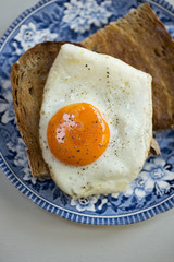 Fried egg