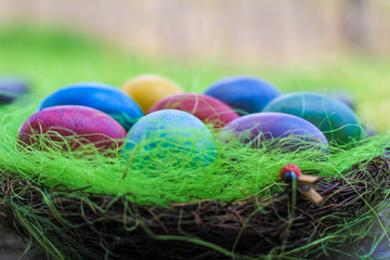 Easter nest