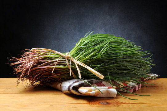 Salsola soda Salicorn fi 苏打猪毛菜 Barba di frate Săricică Salsola de Sevilla Barba del Negus Agretti Soude commune &Alpha;&lambda;&mu;ύ&rho;&alpha; opposite-leaved saltwort 