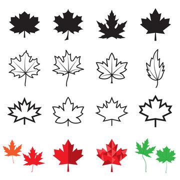 Maple leaf icons. Vector illustration