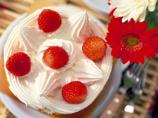 ホールショートケーキ