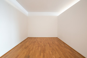 Fototapeta premium empty living room