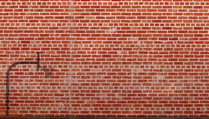 Basketball Hoop - Unique basketball hoop shadow in front of brick wall