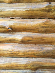 Obraz na płótnie Canvas Wood Background