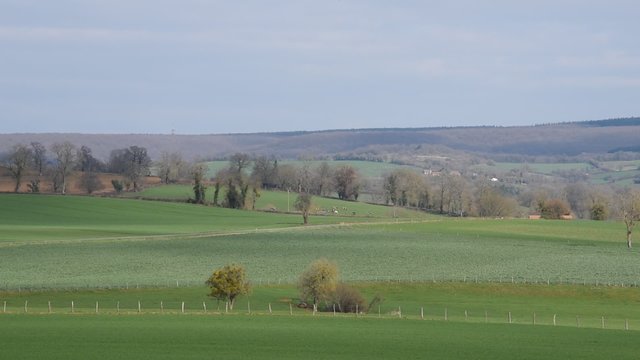 Route départementale en Bourgogne