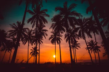 Foto op Plexiglas Palmboom Silhouet kokospalmen op het strand bij zonsondergang. Vintage toon.