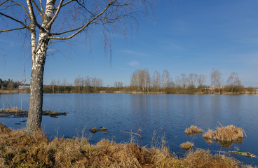 Spring landscape with river