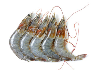 Raw shrimp isolated on the whtie background