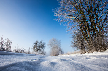 Winterlandschaft in Brandenburg