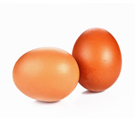 chicken eggs on white background