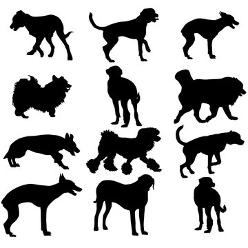 Set silhouette black dog. Vector illustration.