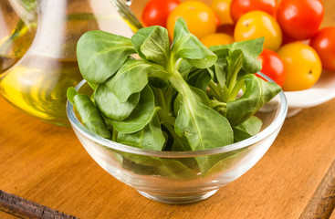 canonigos raw in bowl