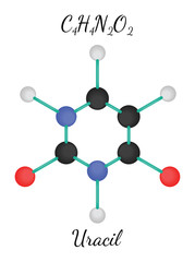 C4H4N2O2 uracil molecule
