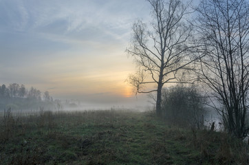 Fototapeta na wymiar Misty spring morning