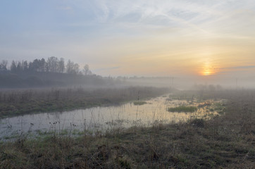 Fototapeta premium flooded meadow in the spring