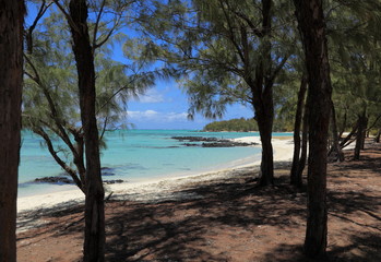 Fototapeta na wymiar lagon turquoise et plage sauvage de l'île aux cerfs