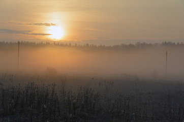 Countryside misty landscape