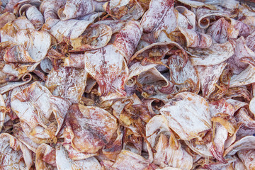 Dried Squid, traditional squids drying in the sun in a market.