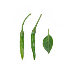 Fresh chilli (Bird's Eye Chili Pepper) isolate on white backgrou
