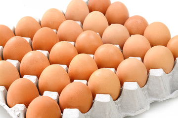 Eggs in paper tray isolated on white