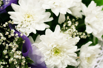 Obraz na płótnie Canvas bouquet of white chrysanthemums closeup