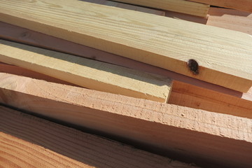 木材　wood　4