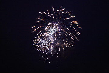 Victory Firework, year 2008